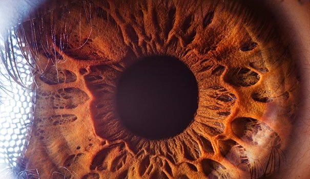 El ojo humano de cerca #fotografia #anatomia #curiosidades