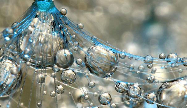 Gotas de agua con un macro #design #fotografia #photography